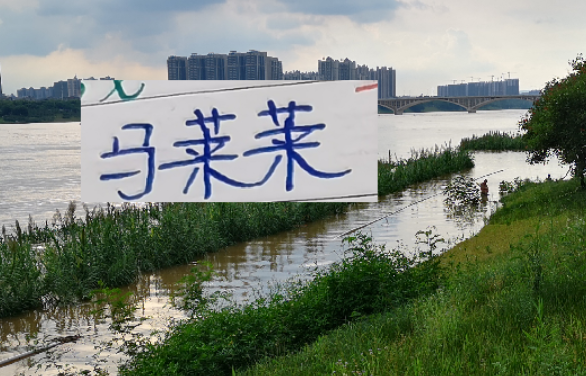 开云官网-如何防隔壁豪华版的马莱莱 是海港穆帅新赛季要应对的一个课题